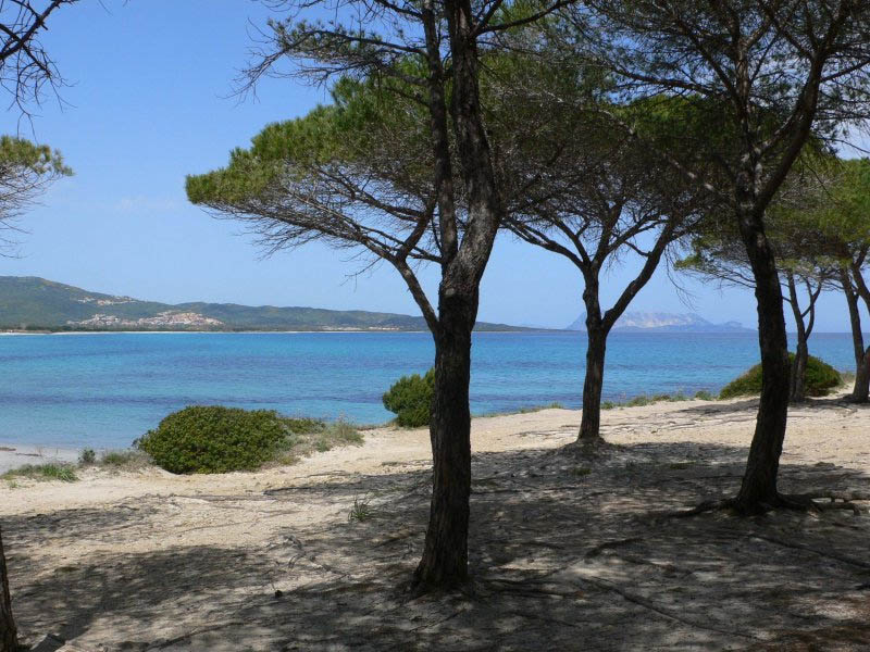 Budoni - Pineta di S. Anna
