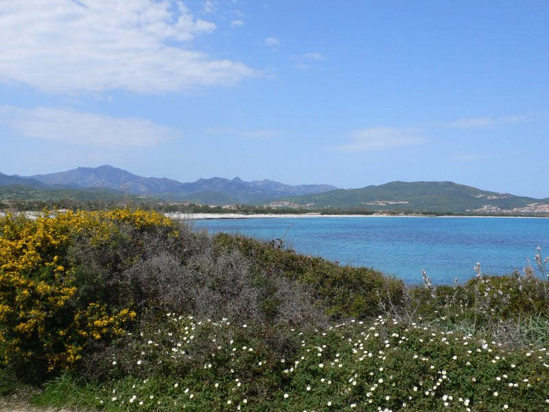 Vacanze a Budoni - Sardegna