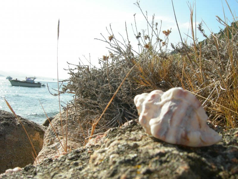 Vacanze al Mare in Sardegna
